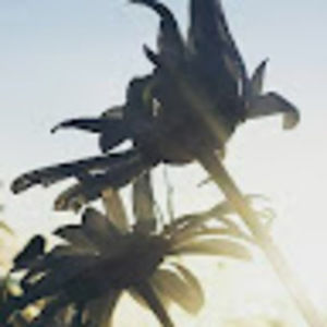 Meet your Posher, Connie